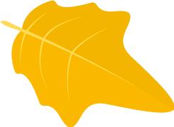 江苏少先队认真学习习*平近**总书记致少先队建队70周年贺信精神