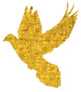 呼市三八红旗手名单,市级三八红旗手公示