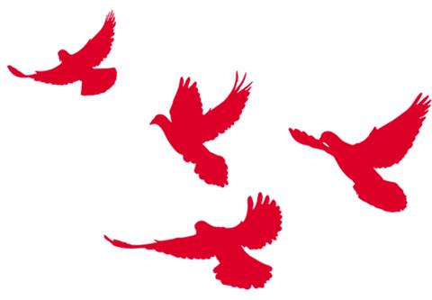 骄傲！闽清这位青年江蒋鸿参加国庆大阅兵，走过*安门天**