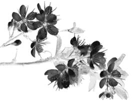 这种食物可能比*品毒**还毒，几乎人人爱吃！再喜欢也要戒口