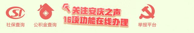 “安庆动起来，你是在沉睡还是在奋斗”系列报道｜六看首位产业，久久为功方能善作善成