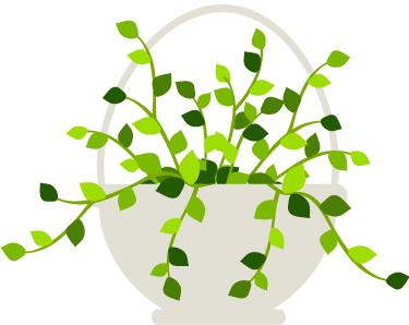 宝宝这五个部位再脏也不能抠,宝宝再脏三个地方别洗