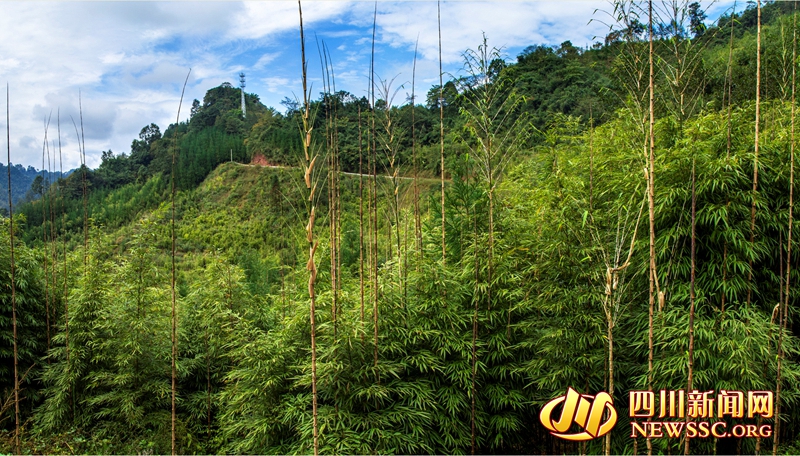 创新扶贫方式添活力,激发扶贫内生动力措施