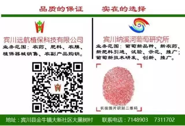 宾川篮球比赛决赛,宾川篮球比赛直播