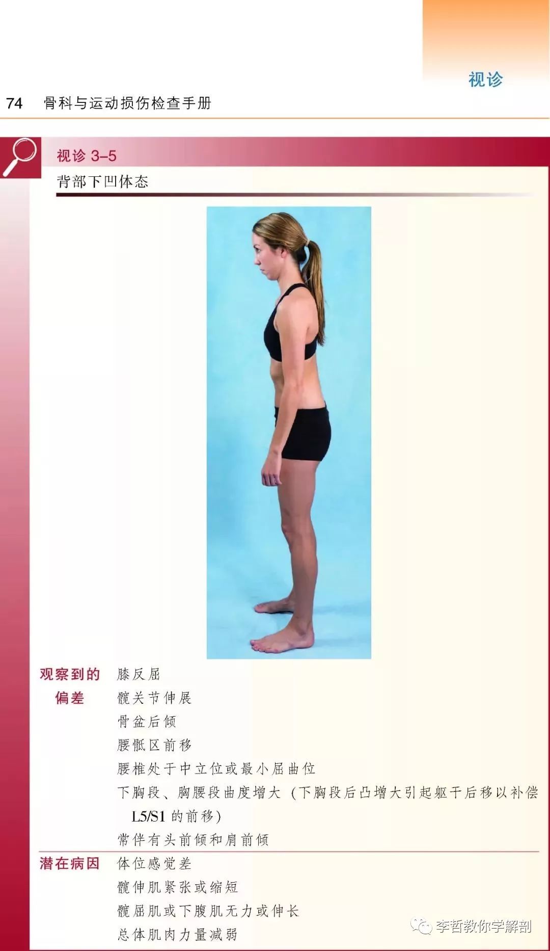 好书推荐|《骨科与运动损伤检查手册》一本康复医生必须标配的书籍