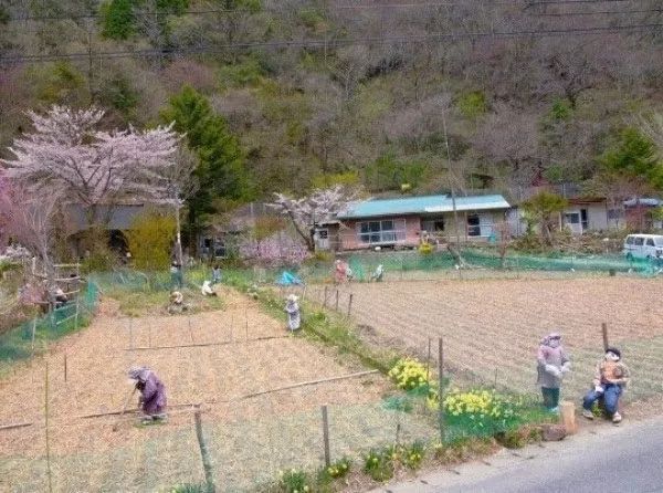 日本夫妻的真实生活状况,日本夫妻的真实状况