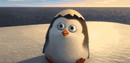 自然人扣缴客户端系统异常,自然人税收扣缴客户端在哪下载