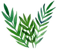 康复医学怎么治疗肩痛,偏瘫康复视频全集