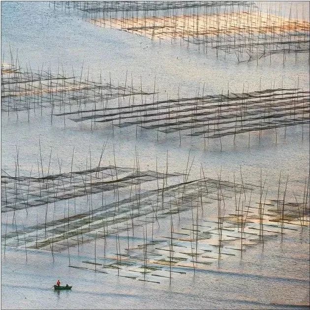 下一个网红小县城，海鲜便宜过象山，秋色不输杭州！