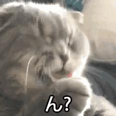 美国人平常会说whatsup,当别人问你whatsup你怎么说