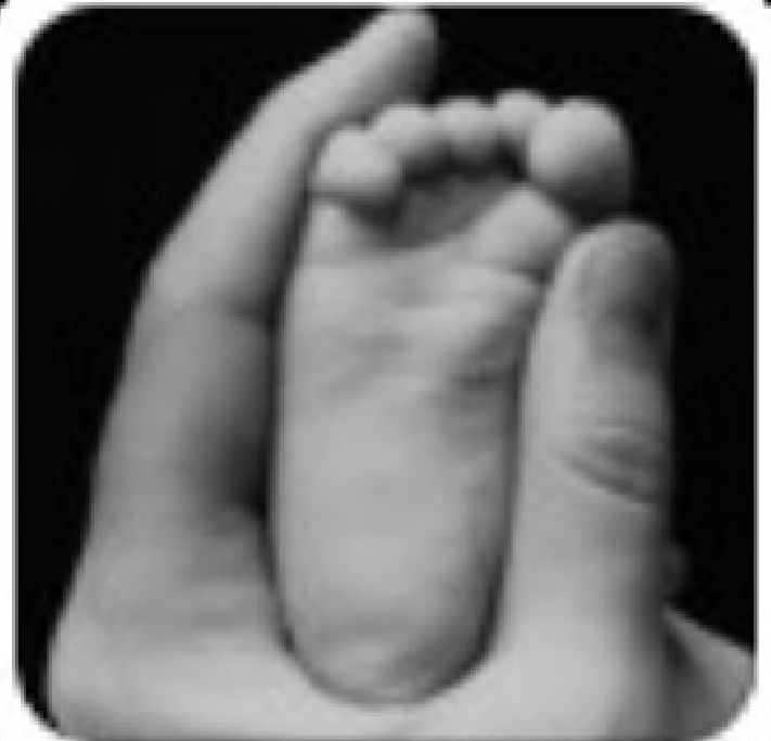 5岁男孩，摸*处私**，蹭小鸡鸡，这个妈妈的做法让无数父母点赞