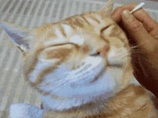 平时爱掏耳屎的，快住手！