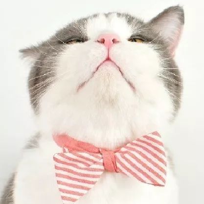 双选会最新信息,最新双选会名单