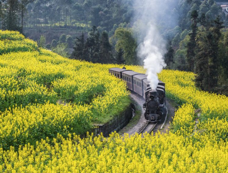 3月花期将至,人均200拿下隐居旗下成都地标旁酒店,一天5顿不重样!