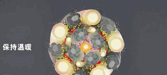 网红都在穿的矫正驼背内衣,能解决驼背的内衣