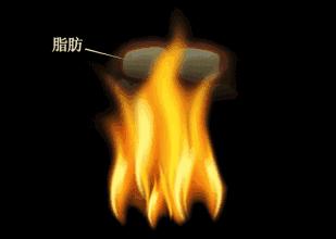 女明星喝的酵素减肥,女明星都在吃的酵素