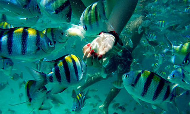 一人去普吉岛注意事项,普吉岛旅游需要准备什么物品