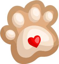 财经连连看视频,财经连连看完整视频