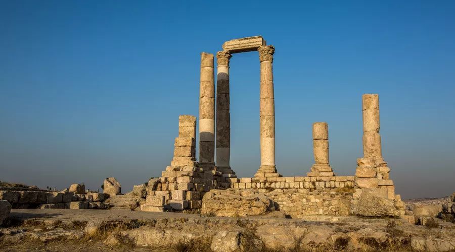 中东呼吸综合征病例诊疗方案,中东呼吸综合征防治