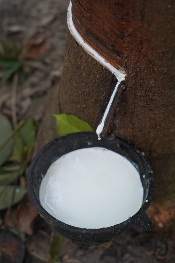 床上加一个床,床上加一个枕头睡觉