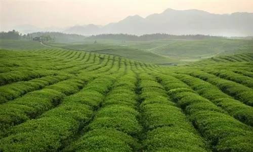 最全的贵州攻略,最新旅游攻略必去景点