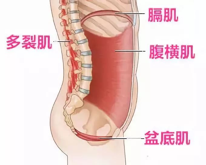 一对一住家月嫂服务平台,一对一月嫂月子中心