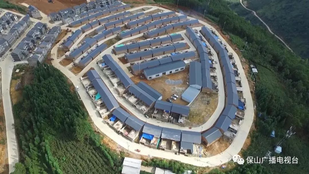 龙陵石斛产业合作,龙陵镇石斛