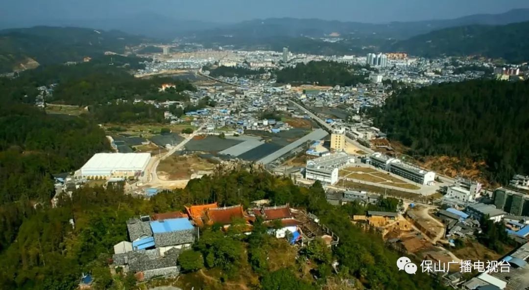 龙陵石斛产业合作,龙陵镇石斛