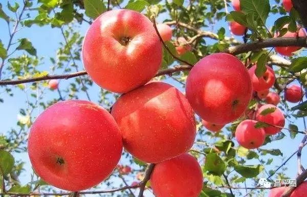 本周五晚上去哪里玩比较好,本周末北京适合去哪里玩