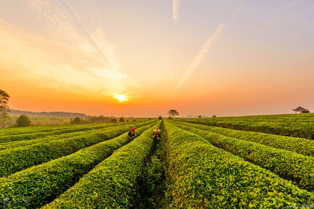 南昌安义县旅游必去十大景点,南昌亲子游必去十大景点