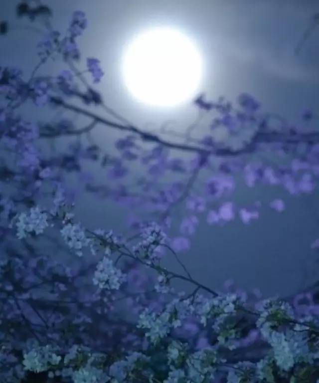 但愿人长久千里共婵娟跟中秋有关,但愿人长久千里共婵娟是写中秋吗