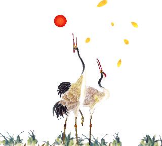 「百草园」止咳化痰温润肺气——百部（九十一）