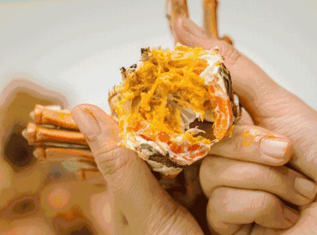 上海闵行区大闸蟹,阳澄湖特大大闸蟹