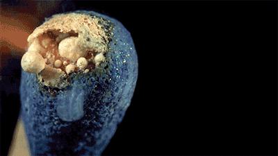 100张趣味化学反应动图,30张化学反应动图