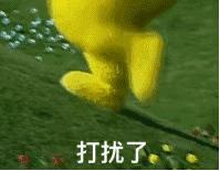 好嗨哟让音乐燃爆全场,好嗨哟歌曲100首dj版