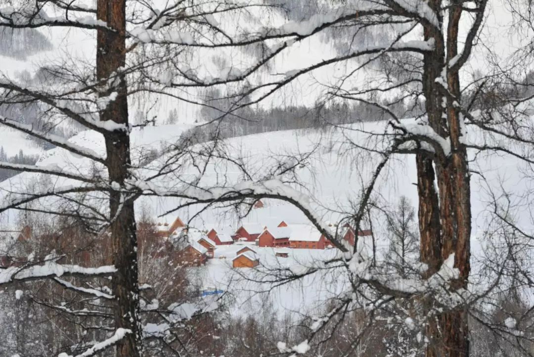 资讯|新航季南航计划在*疆新**和田新开3条航线；乌鲁木齐国际机场空港客运综合枢纽站建成3月16日8时开始试启用！