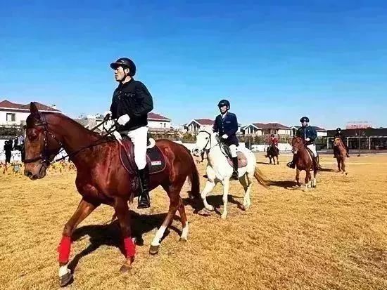 一泡红丨金秋时节，来临朐揽翠湖邂逅一场温泉+红叶的节后错峰游！