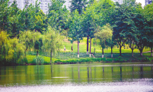 2018成都国际马拉松路线,2018成都国际马拉松冲刺视频