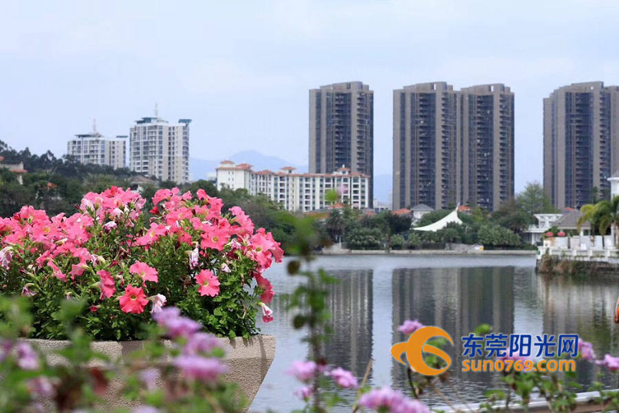 东莞二手房全款交易流程几个月,东莞二手房交易详细流程图