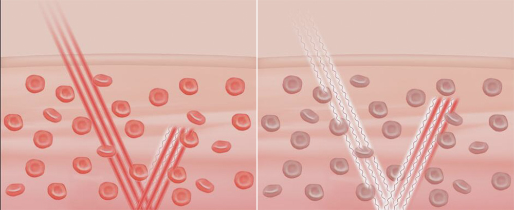 经常被忽略口腔知识,常被忽略的知识