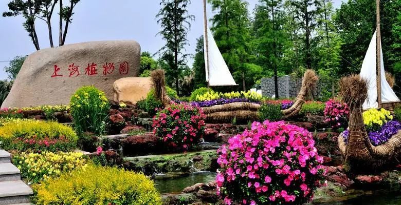 去有香味的地方,去有桂花的地方