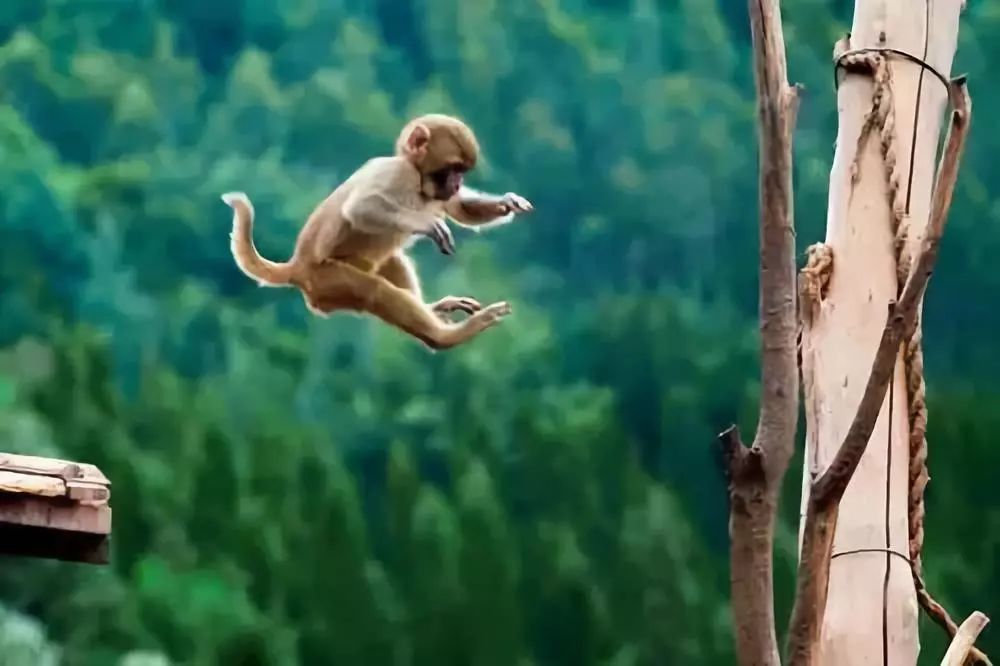 昆明中央公园未来规划,昆明将建100个中心公园名单