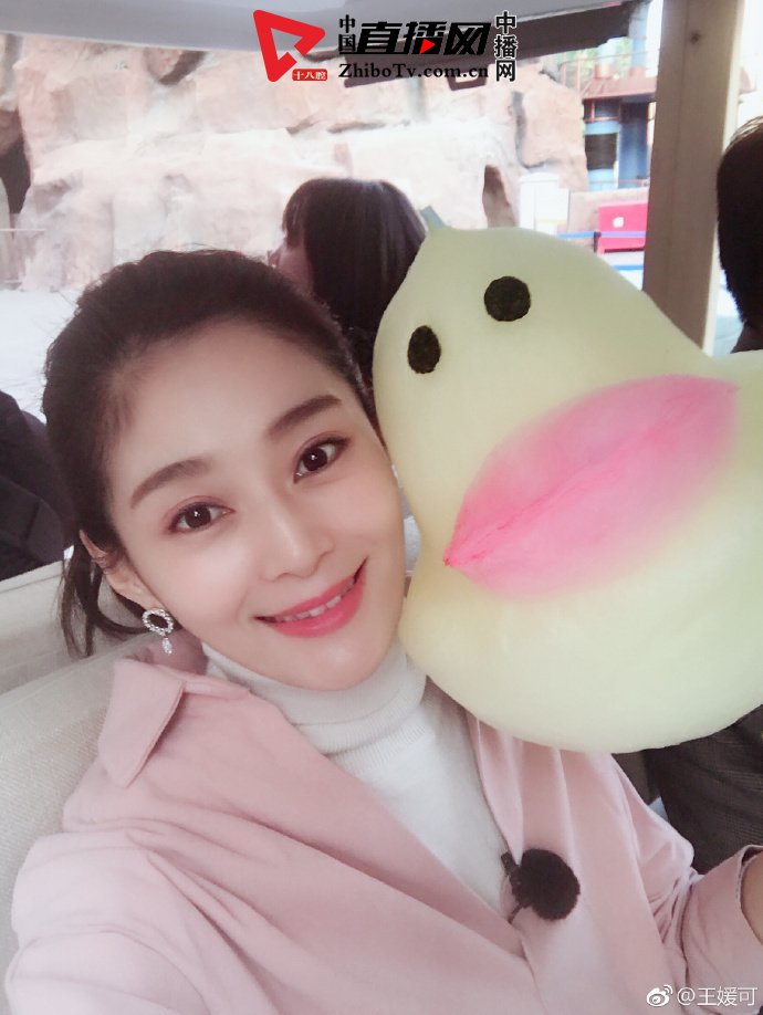 王媛可和粉丝合影 (王媛可延禧攻略纯妃第一个镜头)