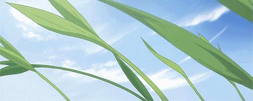 春天里要吃的四大黄金野菜,春天不可辜负的六种野菜