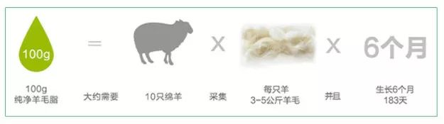 澳洲绵羊油娇嫩补水保湿霜,澳洲高颜值绵羊油