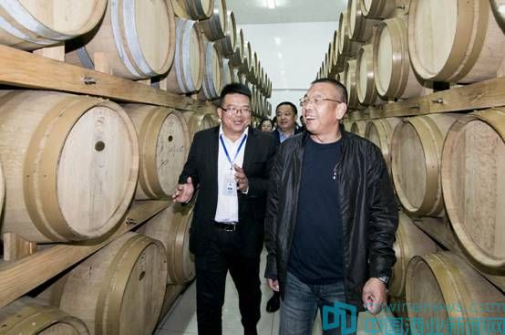 宁夏红保健酒怎么样,宁夏红是保健酒吗