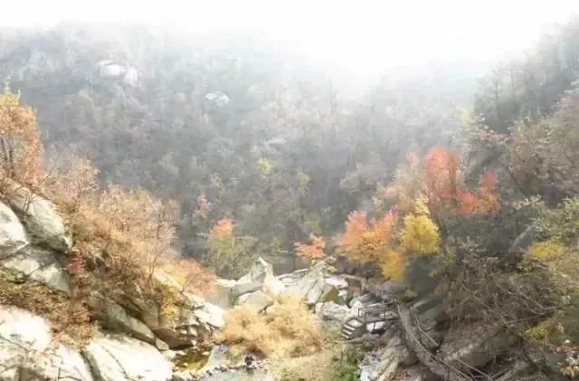 河南看红叶最好的地方,河南红叶最佳观赏时间表