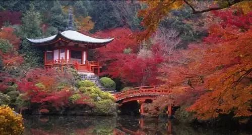 河南秋天最美红叶景区,太美了河南景观