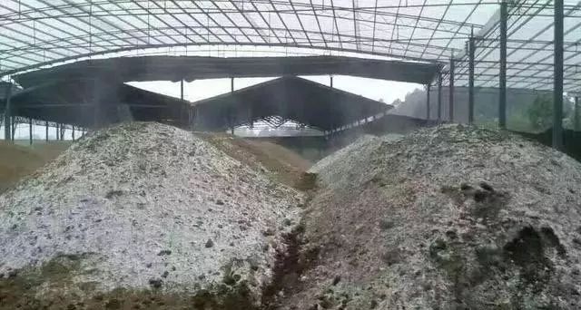 鸡粪、牛粪、羊粪、猪粪，“粪肥”的正确使用方法