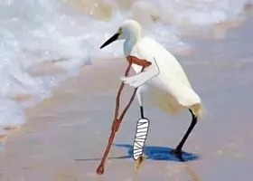 啥操作？男子花1500元“买”来一对银*铐手**！